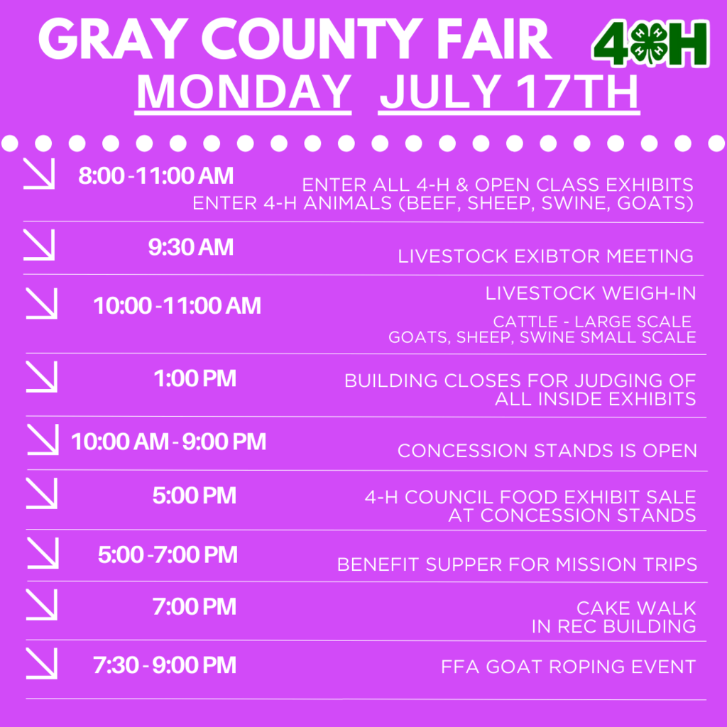 Gray County Fair Monday